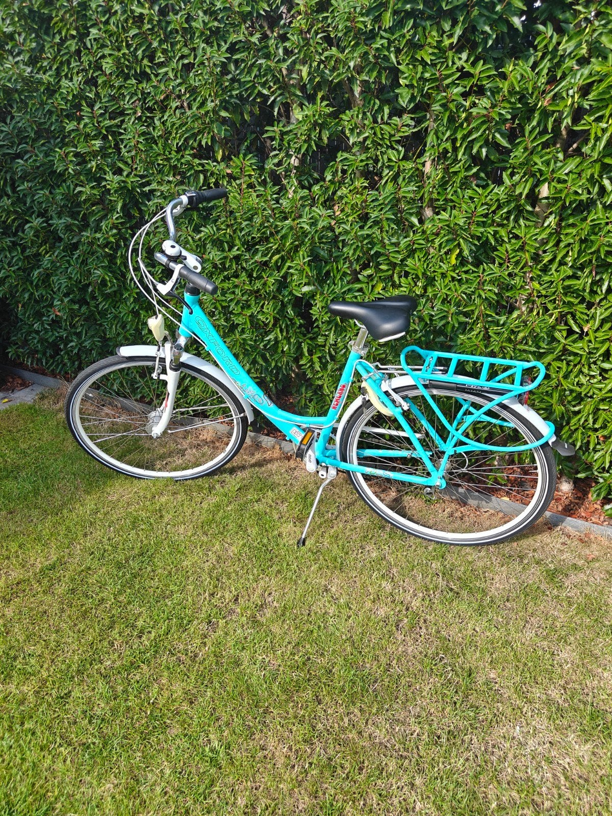 damesfiets Oxford, Ophalen, Gebruikt, Velgrem, Versnellingen