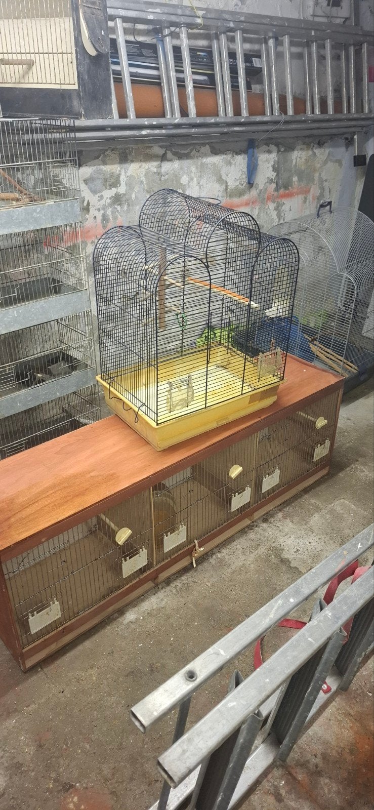 cages d'oiseau, Enlèvement, Utilisé, Métal, Cage à oiseaux