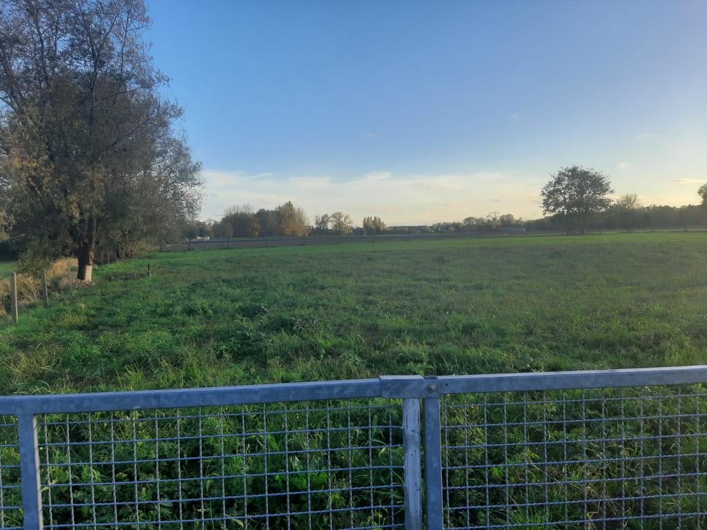 Weide Lebbeke, Dieren en Toebehoren