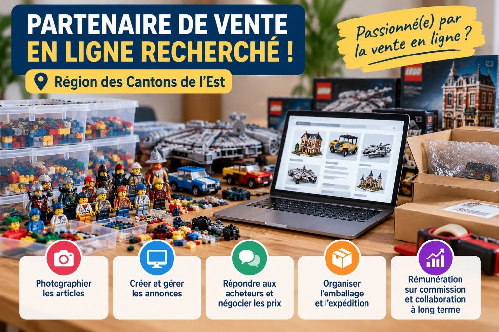 Je cherche un partenaire privé pour la vente en ligne !, Overige uren, Overige vormen