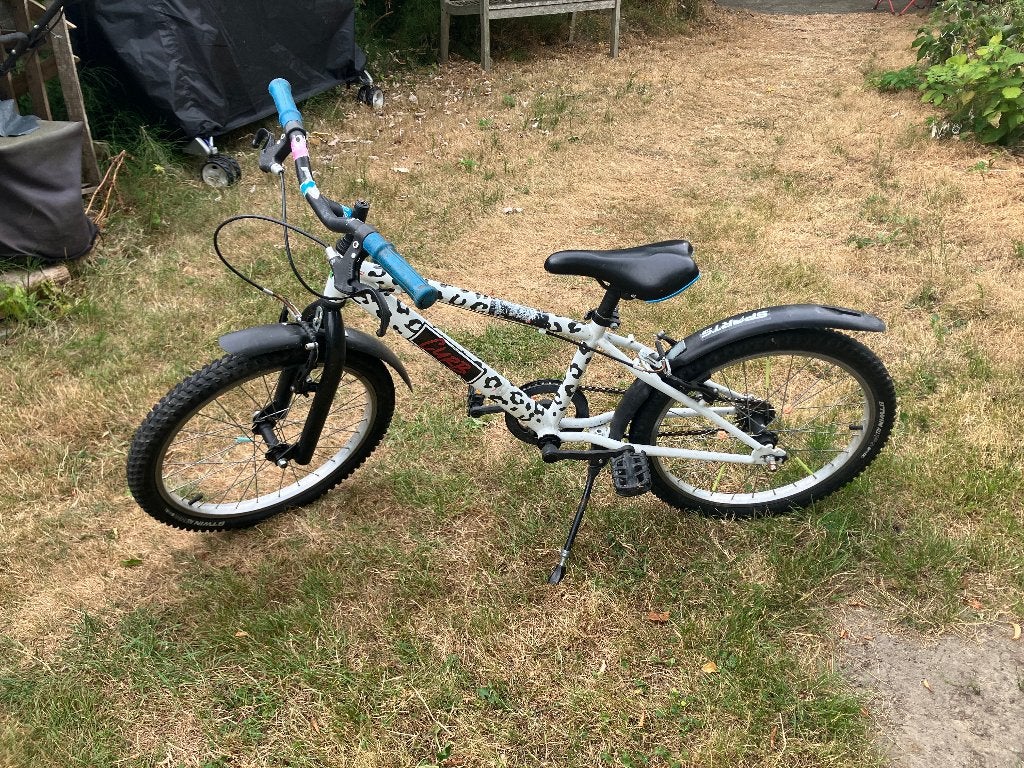 kinderfiets 20 inch, Ophalen, Gebruikt, Velgrem, Btwin Decathlon