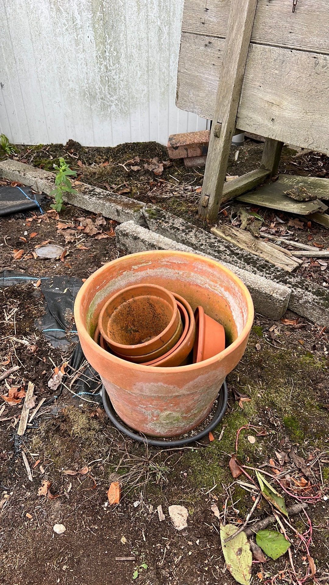 Gratis terracotta bloempotten, Tuin en Terras, Ophalen, Zo goed als nieuw