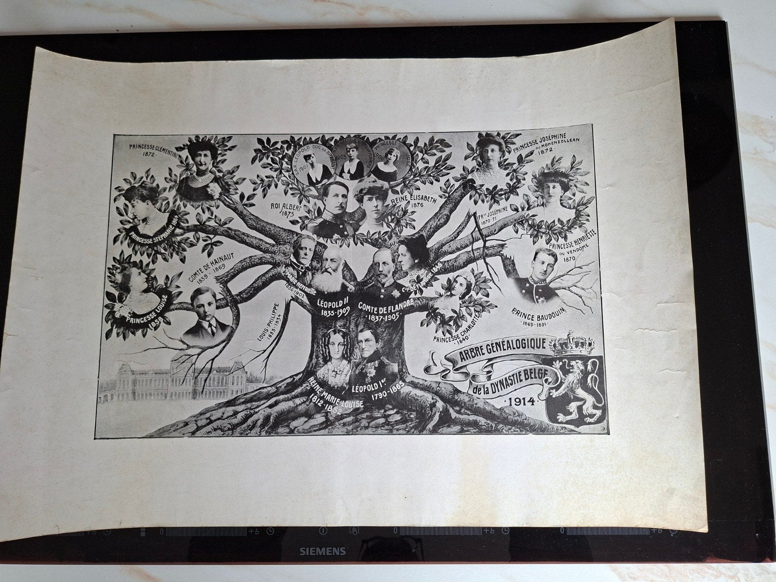 Ancien image de l'abre généalogique de la dynastie Belge191, Antiquités & Art, Art | Dessins & Photographie