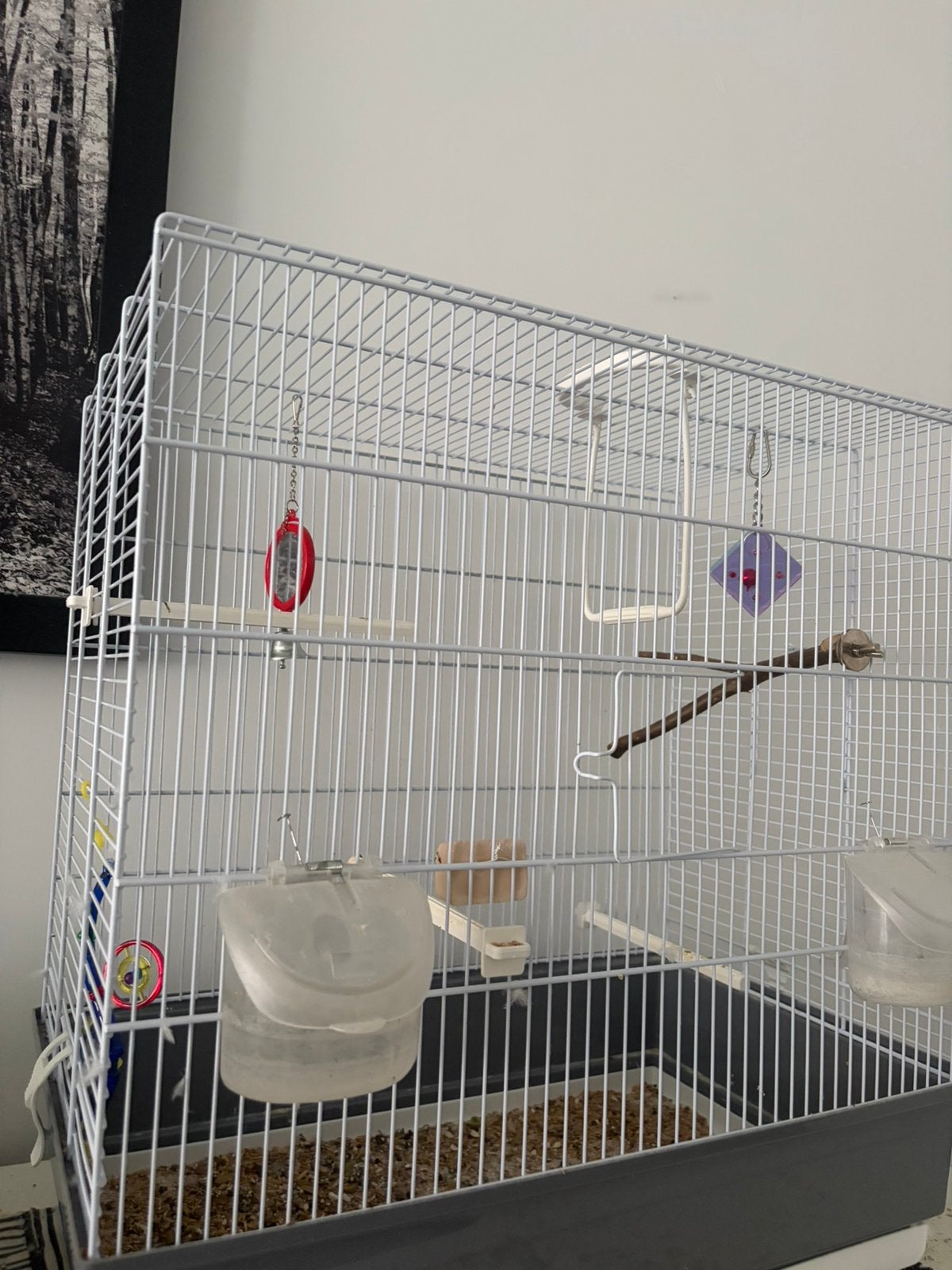 Vogelkooi, Ophalen, Zo goed als nieuw, Vogelkooi