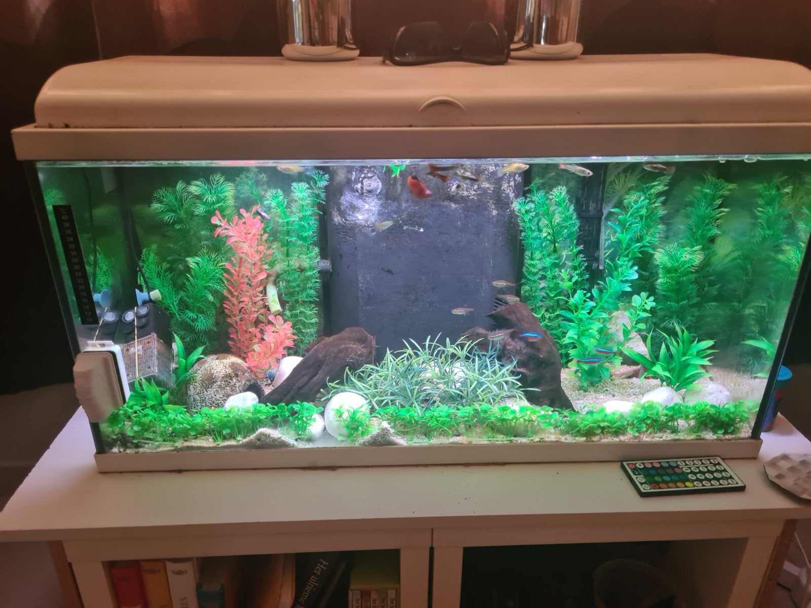 aquarium te koop met ingebouwde filter, Ophalen, Pomp, Gebruikt, Filter