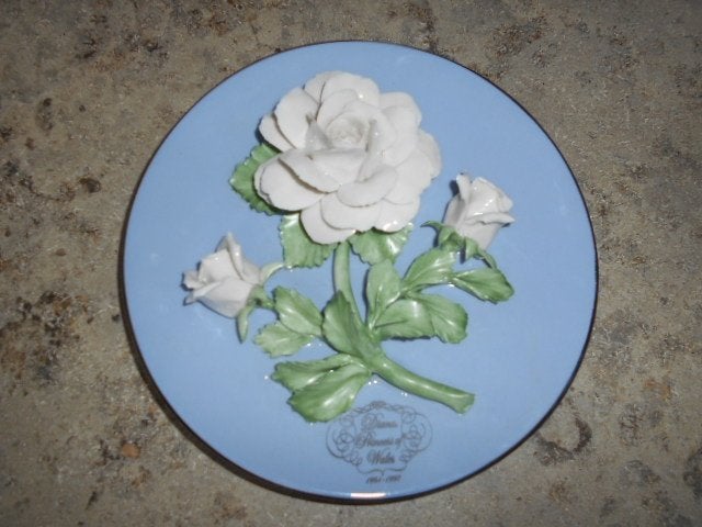 Assiette The Franklin Mint. « Diana, princesse de Galles », Antiquités & Art, Enlèvement ou Envoi