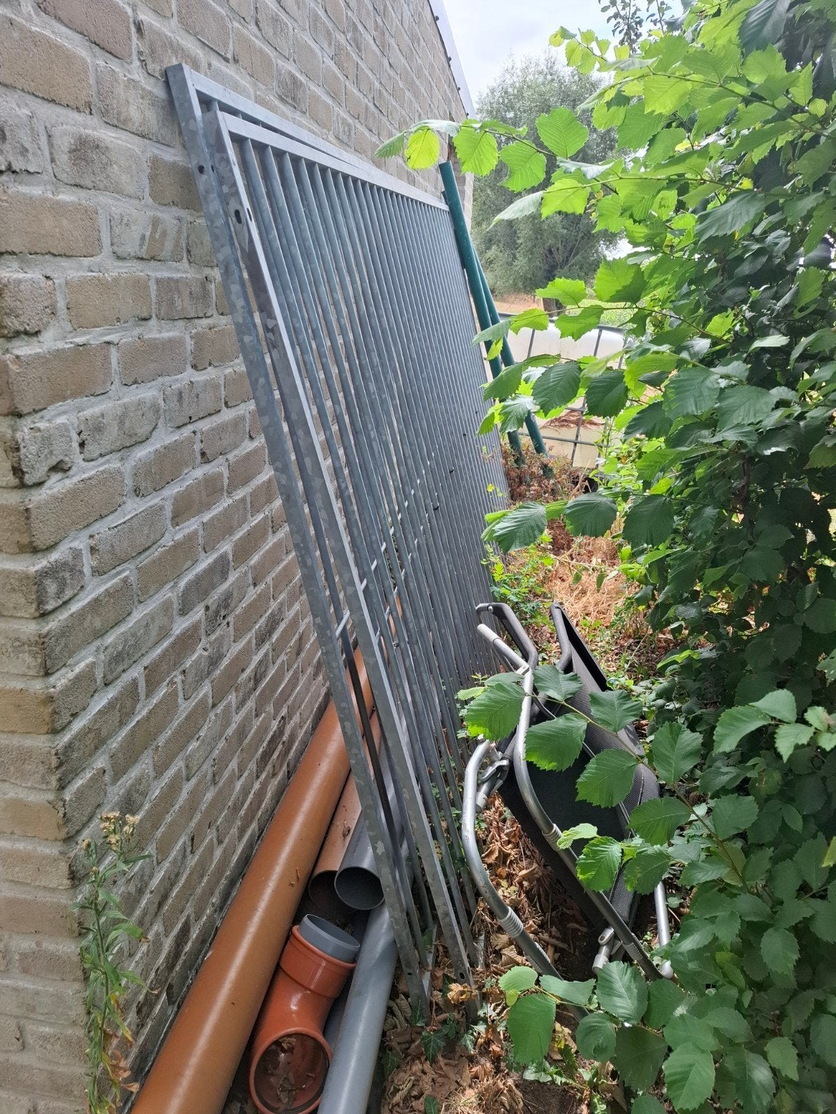 Panelen hondenren, Enlèvement