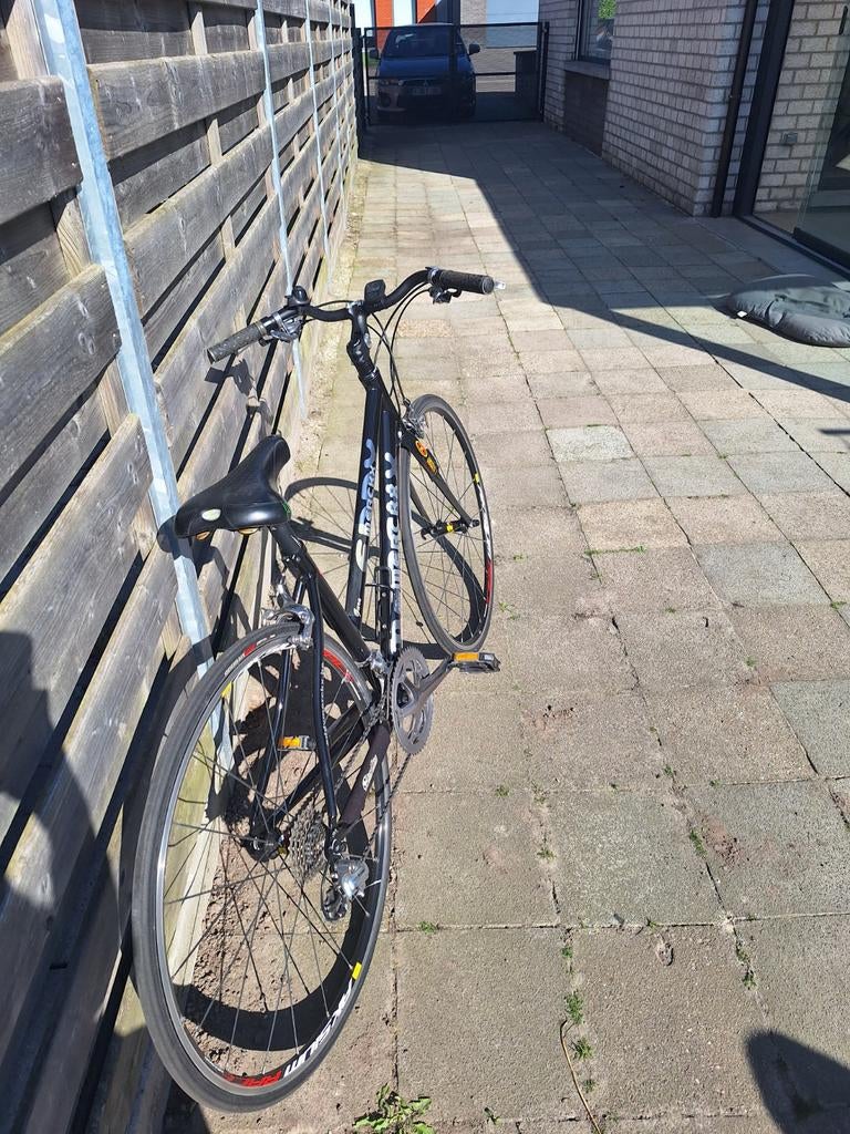 Dames sport fiets eddy merckx, Autres marques, Frein sur jante, Comme neuf, Enlèvement