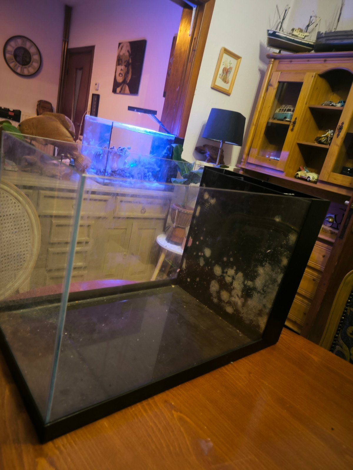 aquarium 75 liter, Ophalen, Filter