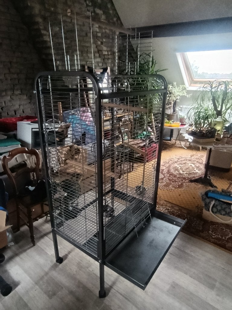 Cage pour perroquet, Dieren en Toebehoren, Vogels | Hokken en Kooien, Ophalen, Zo goed als nieuw, Vogelkooi