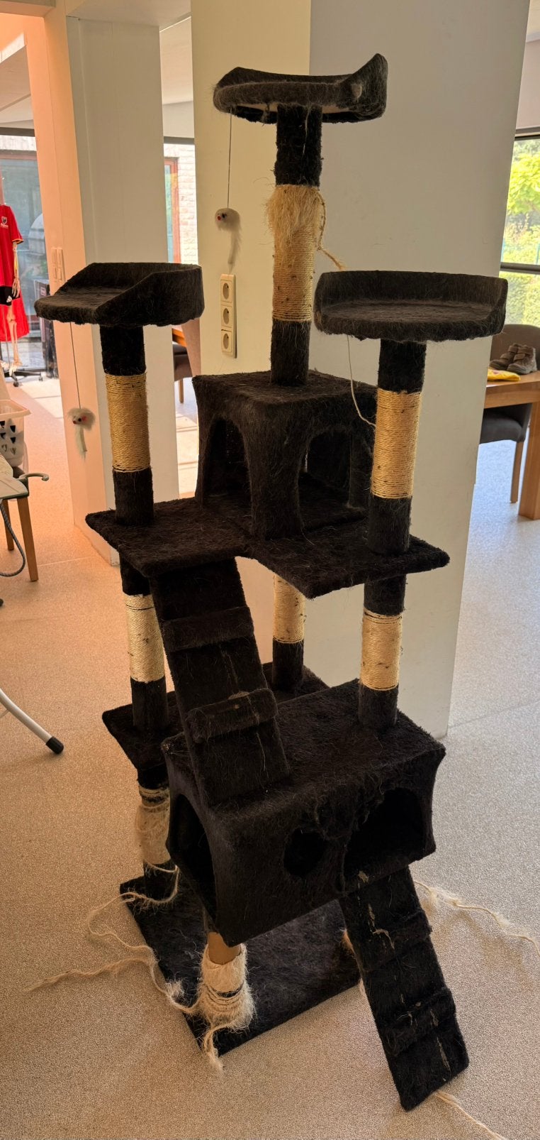 Kattenkrabpaal, Enlèvement, Utilisé, Griffoir