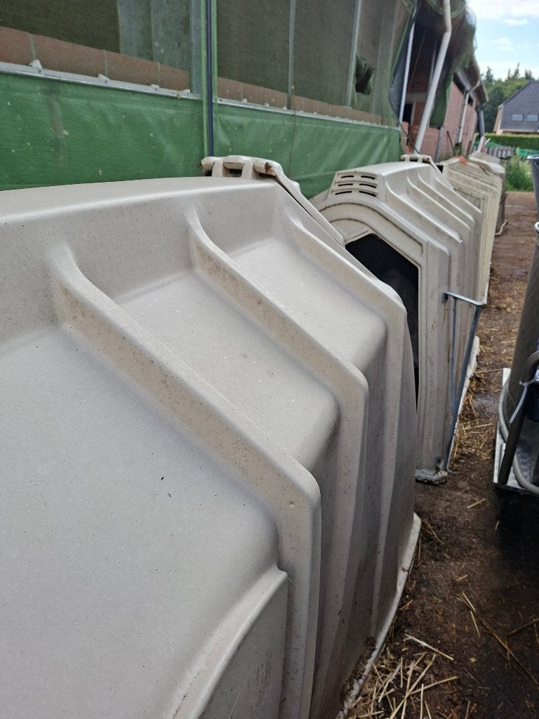 gebruikte kalveriglo's, Dieren en Toebehoren, Runderen