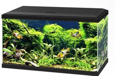 Gratis aquarium gezocht, Dieren en Toebehoren, Ophalen, Zo goed als nieuw, Leeg aquarium