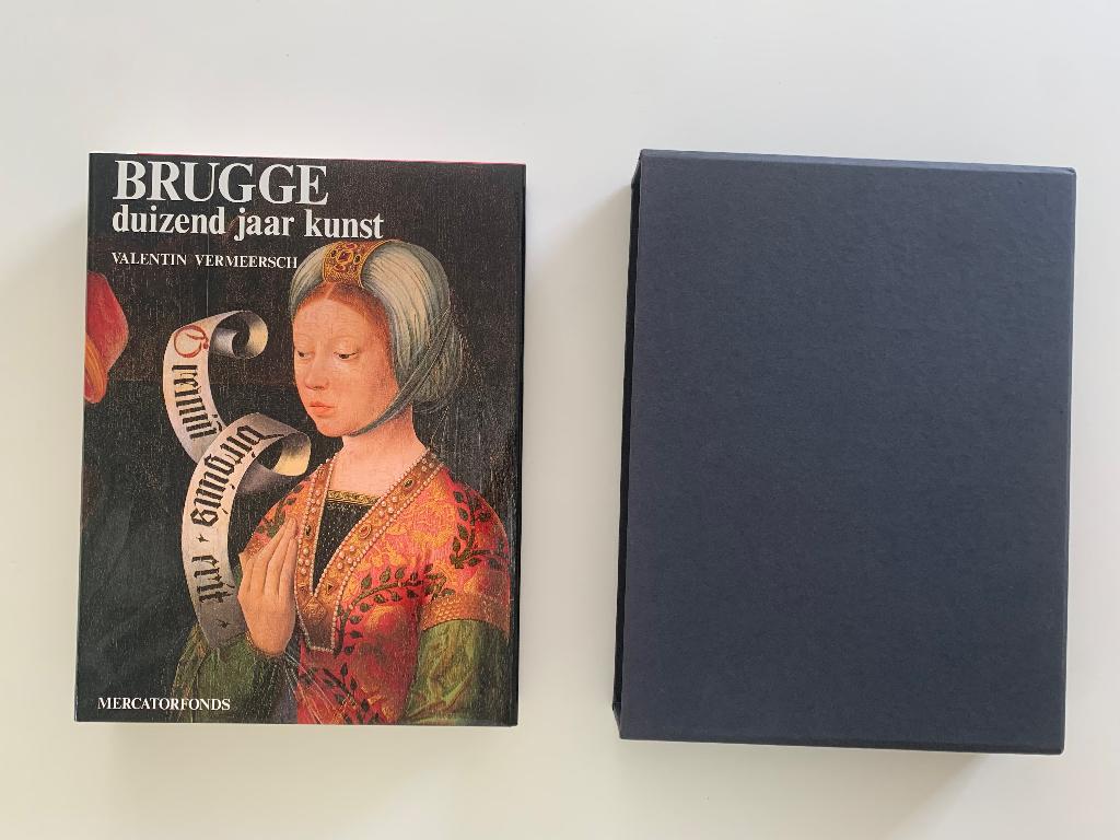 Brugge duizend jaar kunst, Ophalen of Verzenden, Nieuw, Schilder- en Tekenkunst