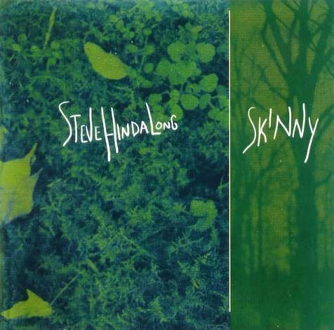 SALE--CD STEVE HINDALONG - Skinny, Verzenden
