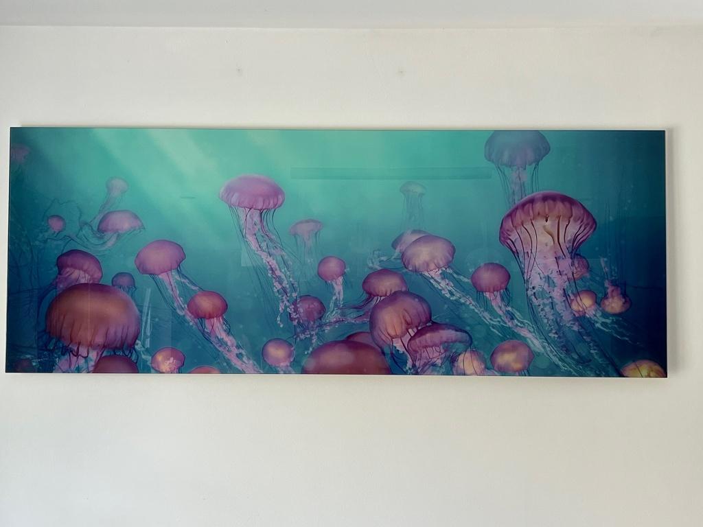 Tableau - Photographie murale vitrée 120 cm X 60 cm, Violet, 60 cm, Tableau, Enlèvement