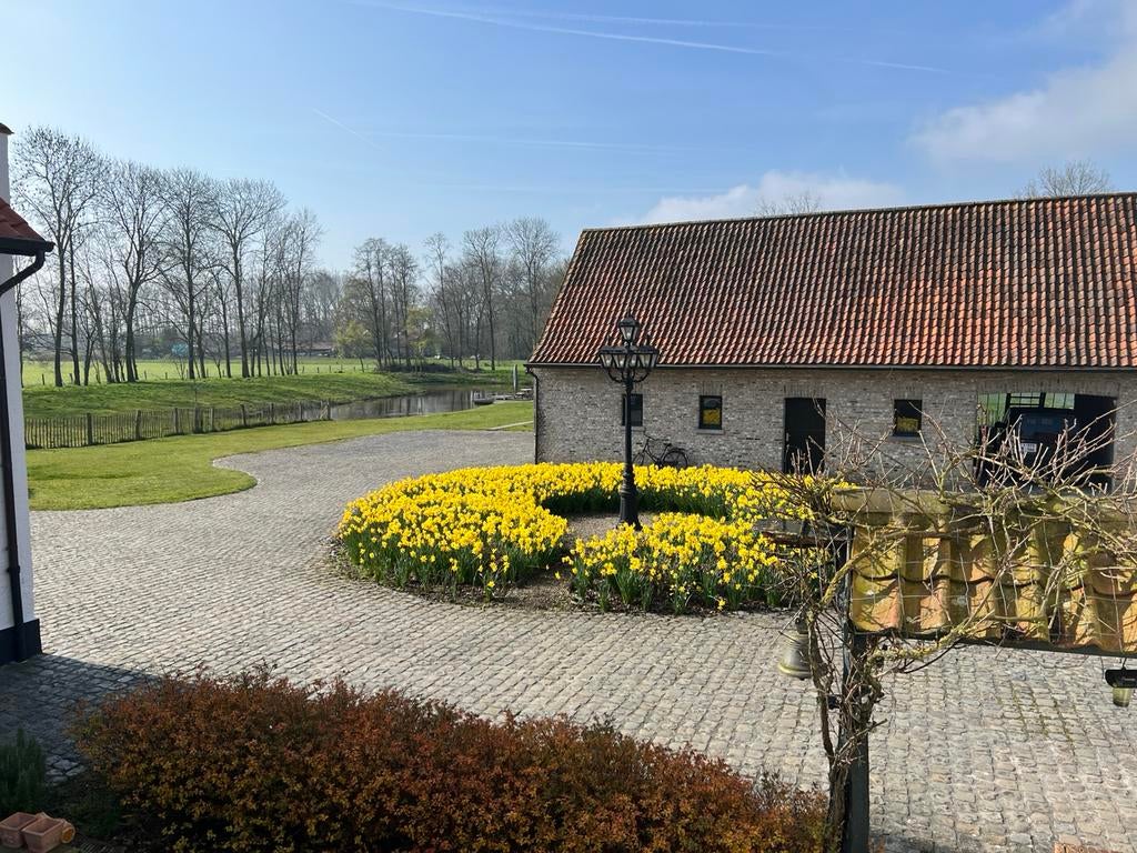 Abdijhoeve te koop ( geen agence aub), Immo, 5 kamers, 1500 m² of meer, Brugge, 400 m²