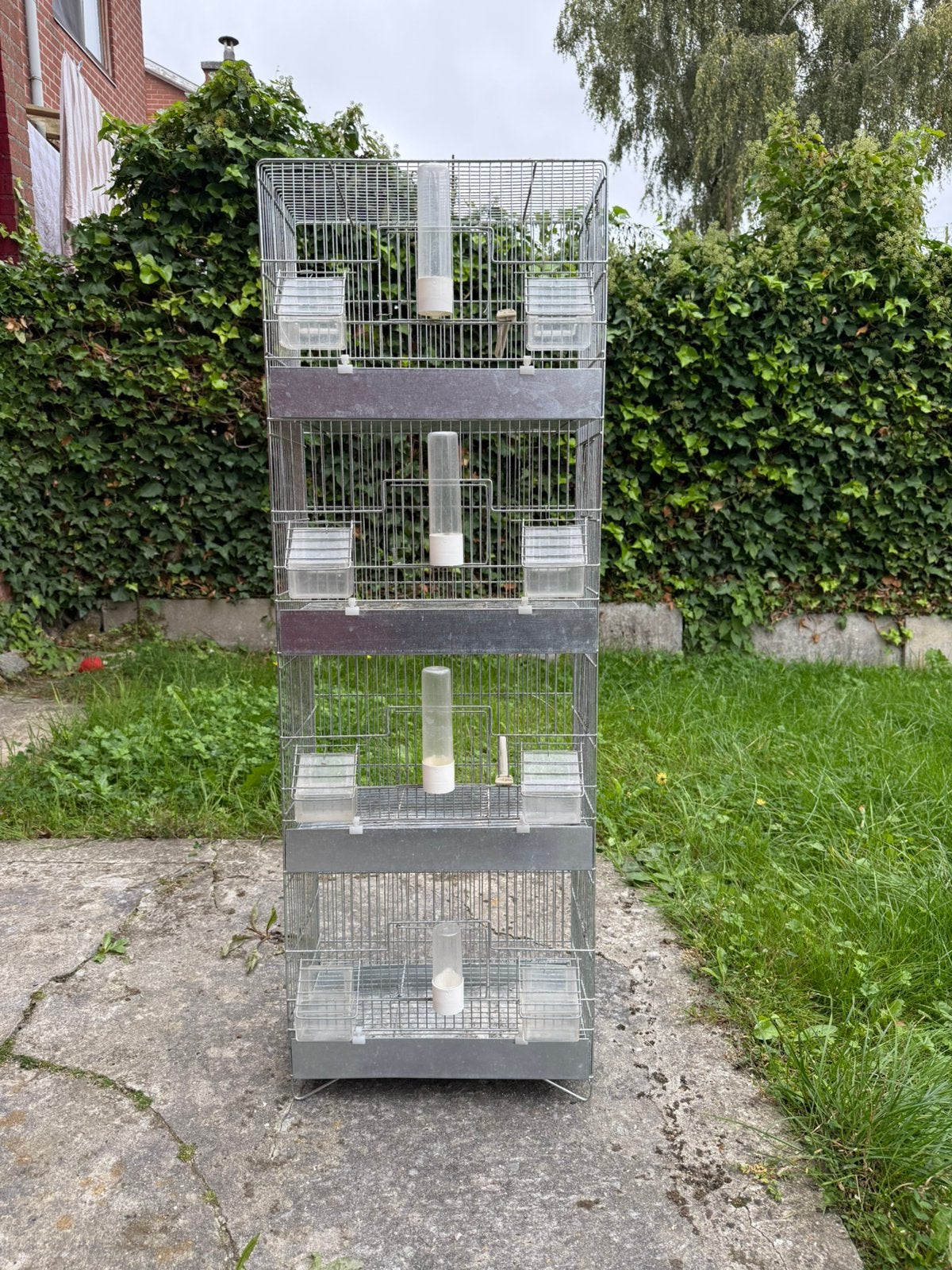 Cage oiseaux, Dieren en Toebehoren, Ophalen, Zo goed als nieuw