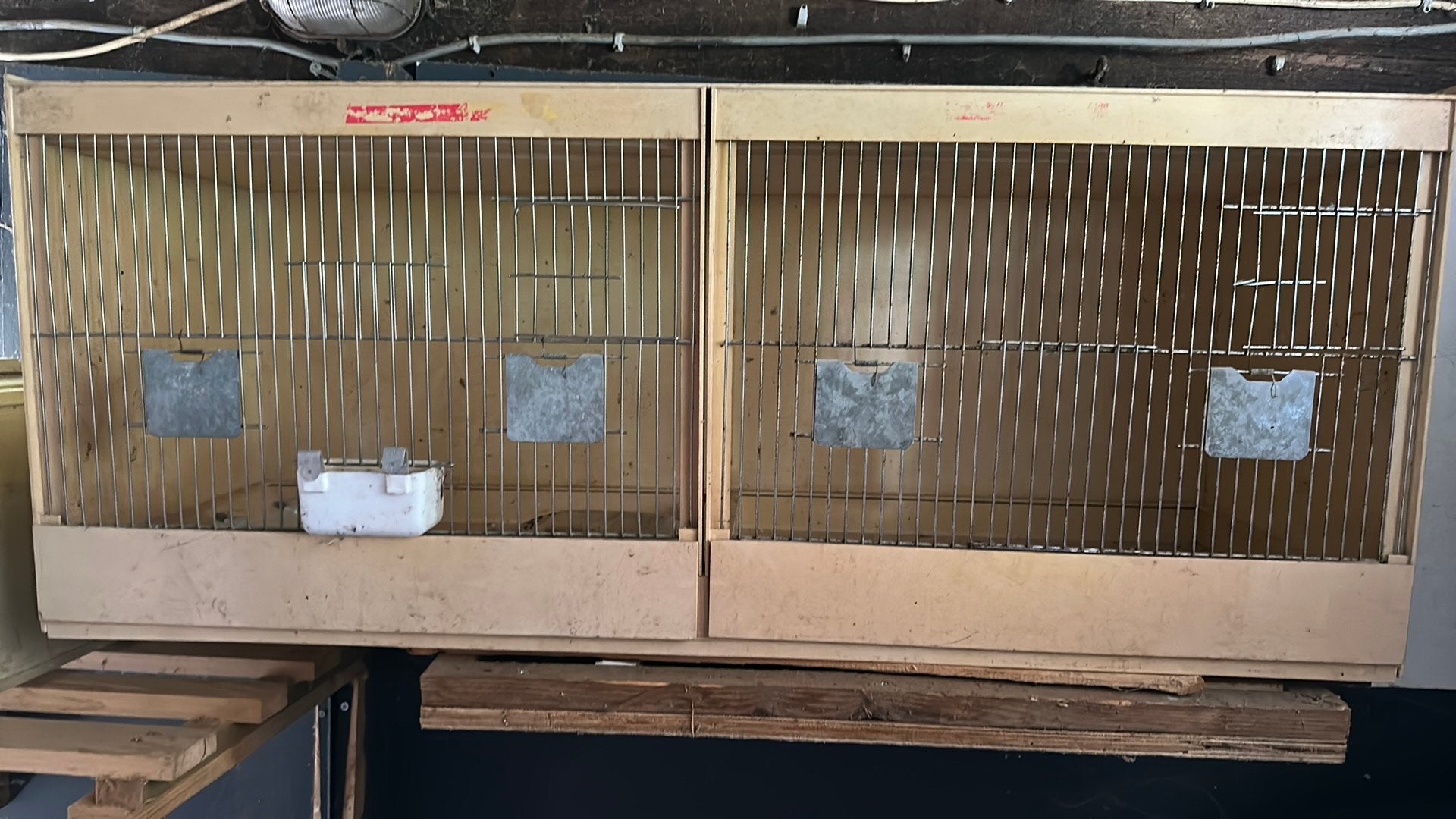 Vogelkooi, Enlèvement, Utilisé, Bois, Cage à oiseaux