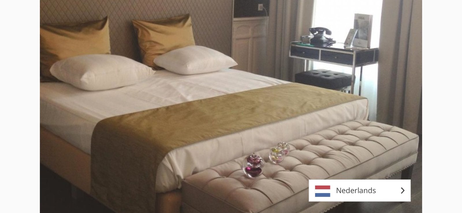 Hotels te koop in Nederland (zie omschrijving)