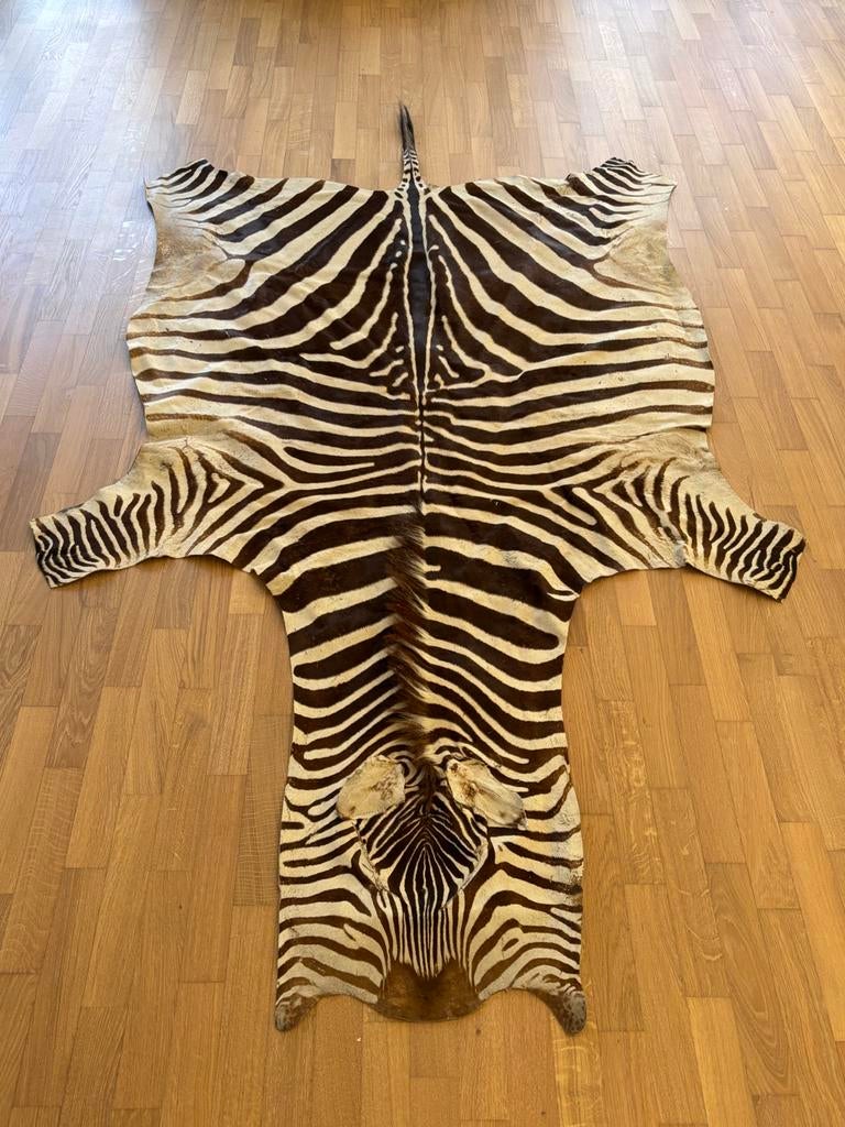 Zebra huid tapijt, Ophalen of Verzenden