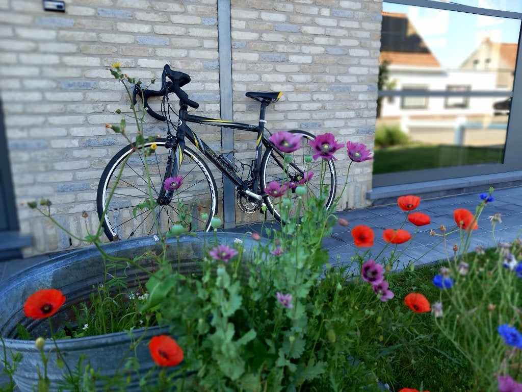 Koersfiets Giant maat 50, Fietsen en Brommers, Fietsen | Racefietsen, Ophalen, Gebruikt, 49 tot 53 cm, Giant