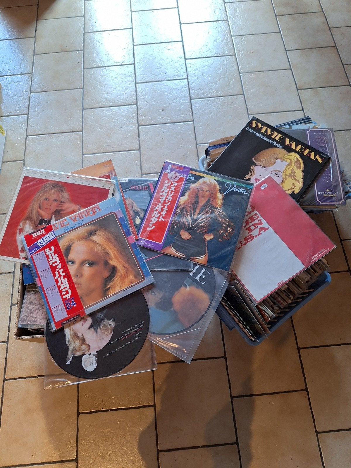 Lot exceptionnel 350 disques vinyles - Sylvie Vartan (Années, Ophalen