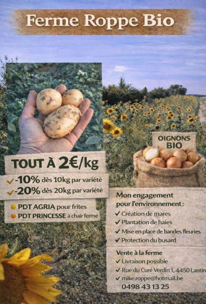 Pomme  de terre bio, Enlèvement ou Envoi