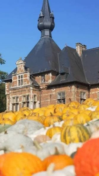 Pumpkimania - Groot Bijgarden - 4 billets, Tickets & Billets