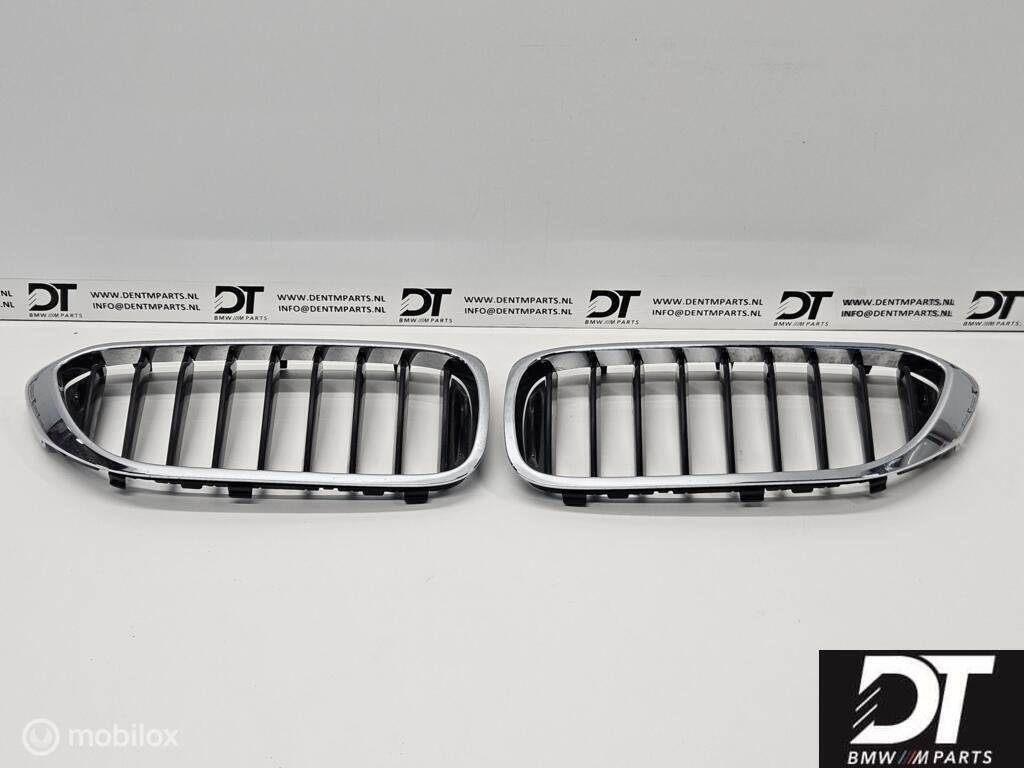 Grille set BMW 5-serie G30 G31 51137390863 51137390864, Gebruikt, Ophalen of Verzenden, BMW, BMW