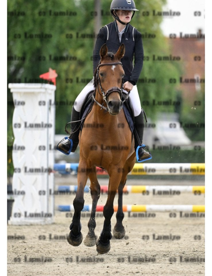 Super brave 6 jarige merrie te koop e-pony,klein paardje, Dieren en Toebehoren, Met stamboom, Springpony, 3 tot 6 jaar, Merrie