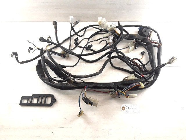 Pegaso 650 1992 - 2005 Aprilia Kabelboom D1-39245, Motoren, Onderdelen | Overige