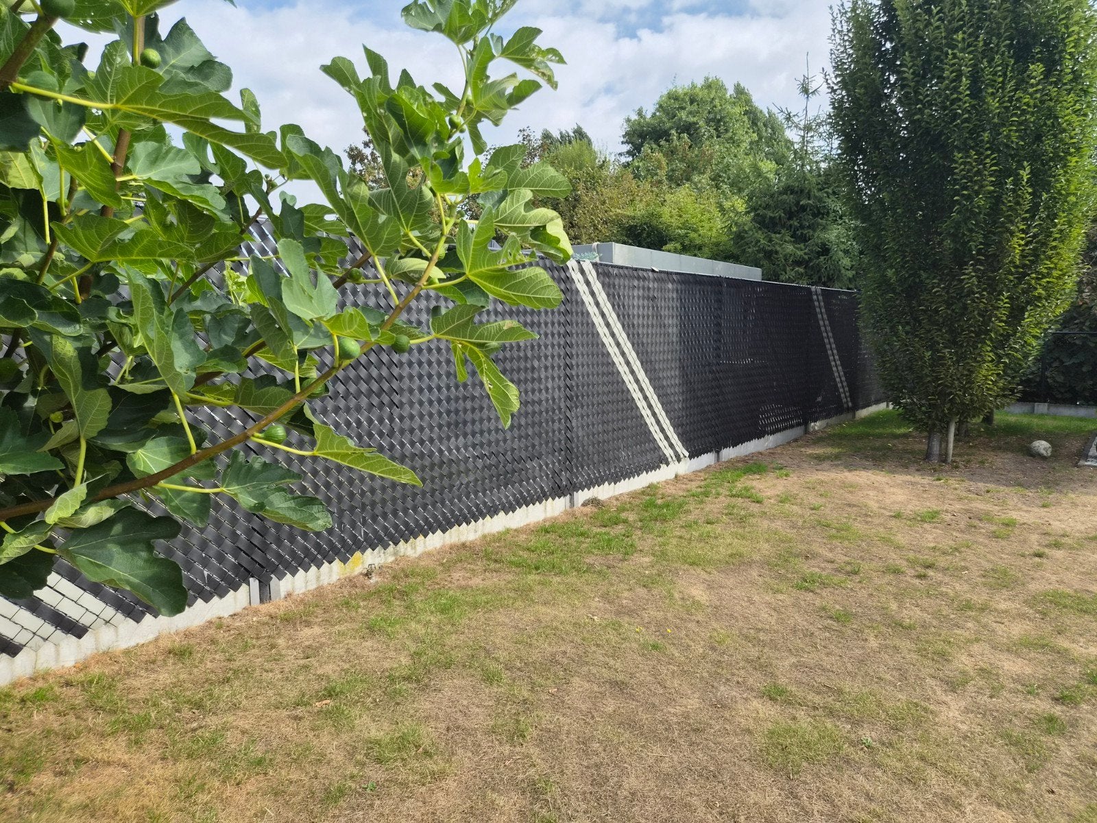 lamel colorado c50 zwart 100m, Tuin en Terras, Tuinschermen, Ophalen, Nieuw