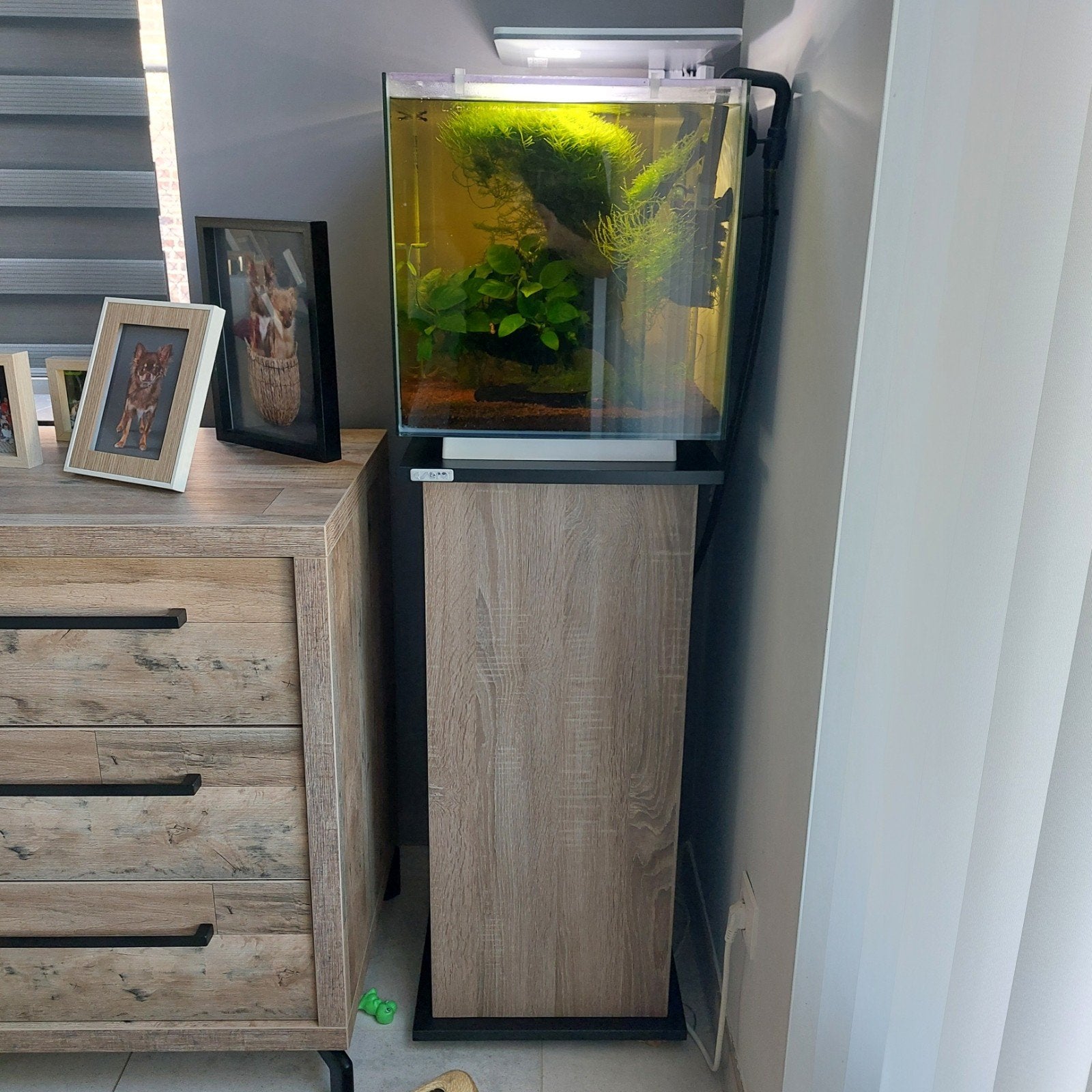 SuperFish Qubiq 60L aquarium + meubel + JBL e402, Animaux & Accessoires, Poissons | Aquariums & Accessoires, Filter, Sera, Enlèvement