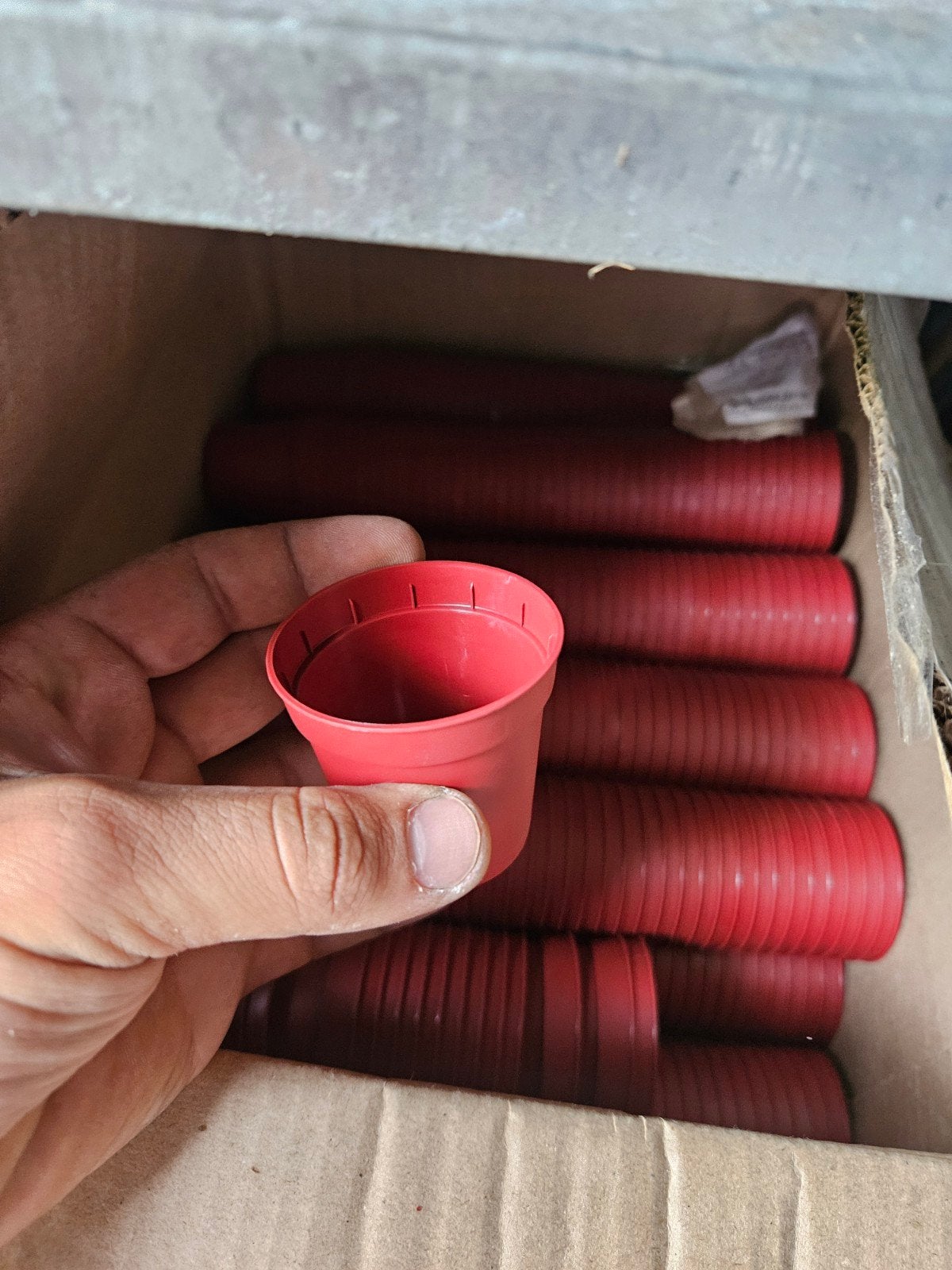 Nieuwe bloempotjes 5.5cm, Tuin en Terras, Bloempotten, Kunststof, Rond, Nieuw, Ophalen of Verzenden