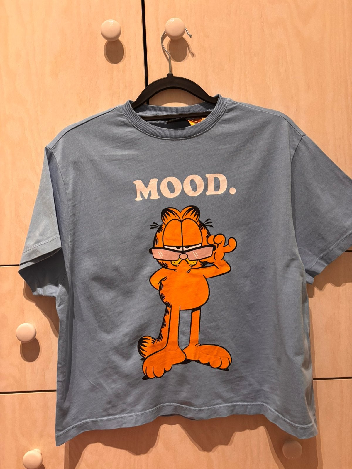 Garfield T-shirt maat Xs, Ophalen, Gedragen, Maat 34 (XS) of kleiner, Meerkleurig