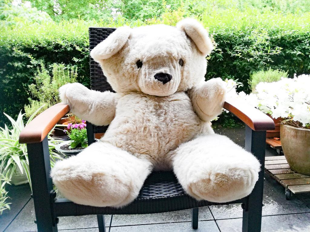 Grote champagne kleurige knuffelbeer : 76 cm, Enlèvement ou Envoi, Comme neuf, Ours en tissus, Steiff