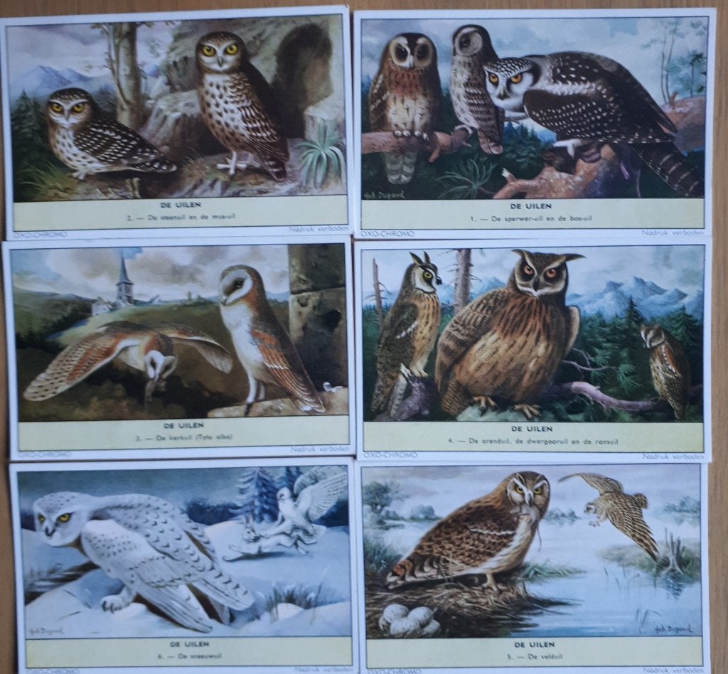 LIEBIG : cmpl. : DE UILEN Scarce Ed.NEDERLAND SG 1761 1961, Verzamelen, Foto's en Prenten, Ophalen of Verzenden, Zo goed als nieuw