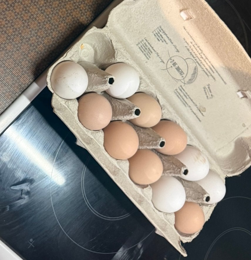 Broedeieren te koop, Dieren en Toebehoren, Ophalen, Nieuw