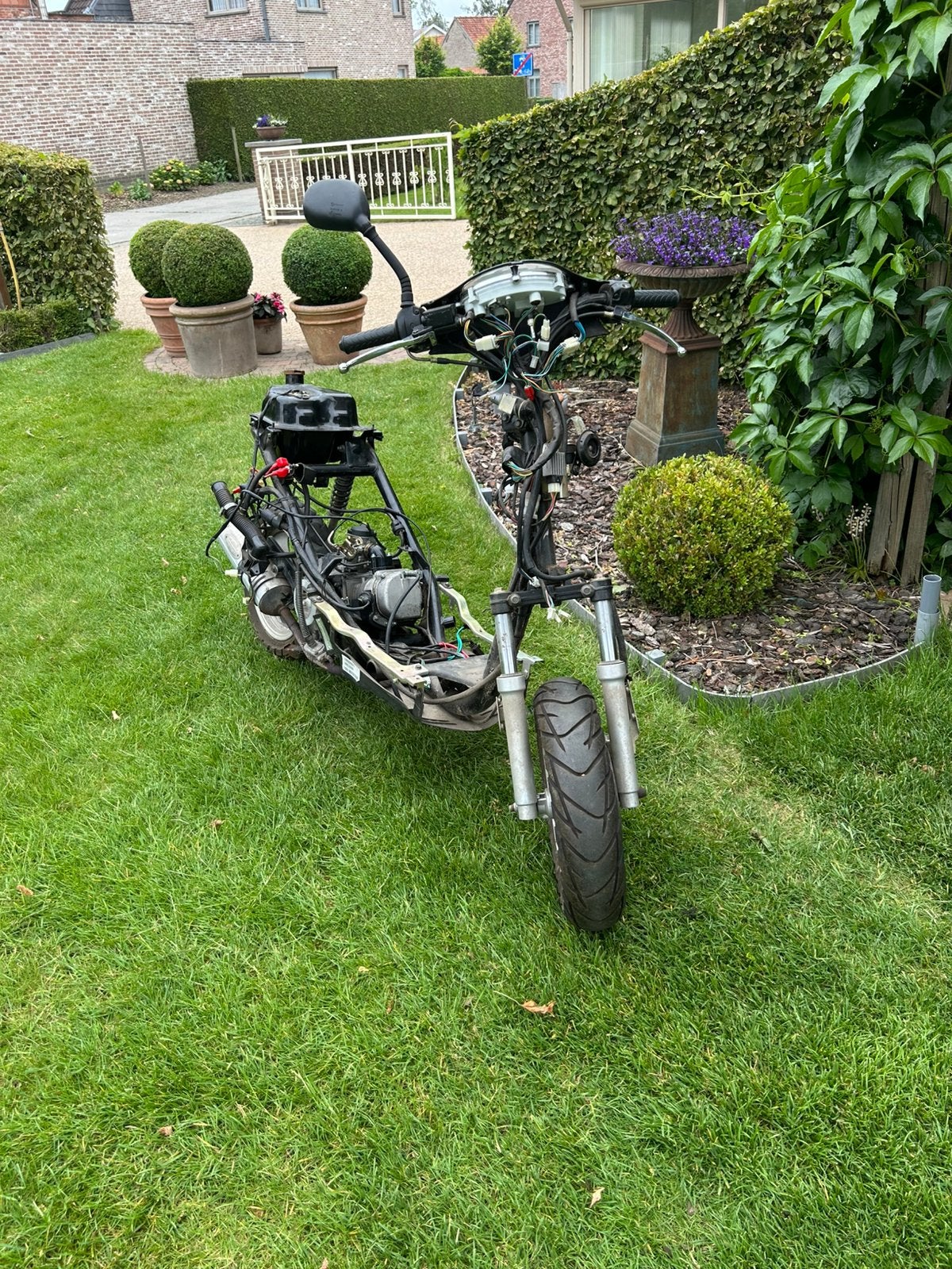 Brommer speedy