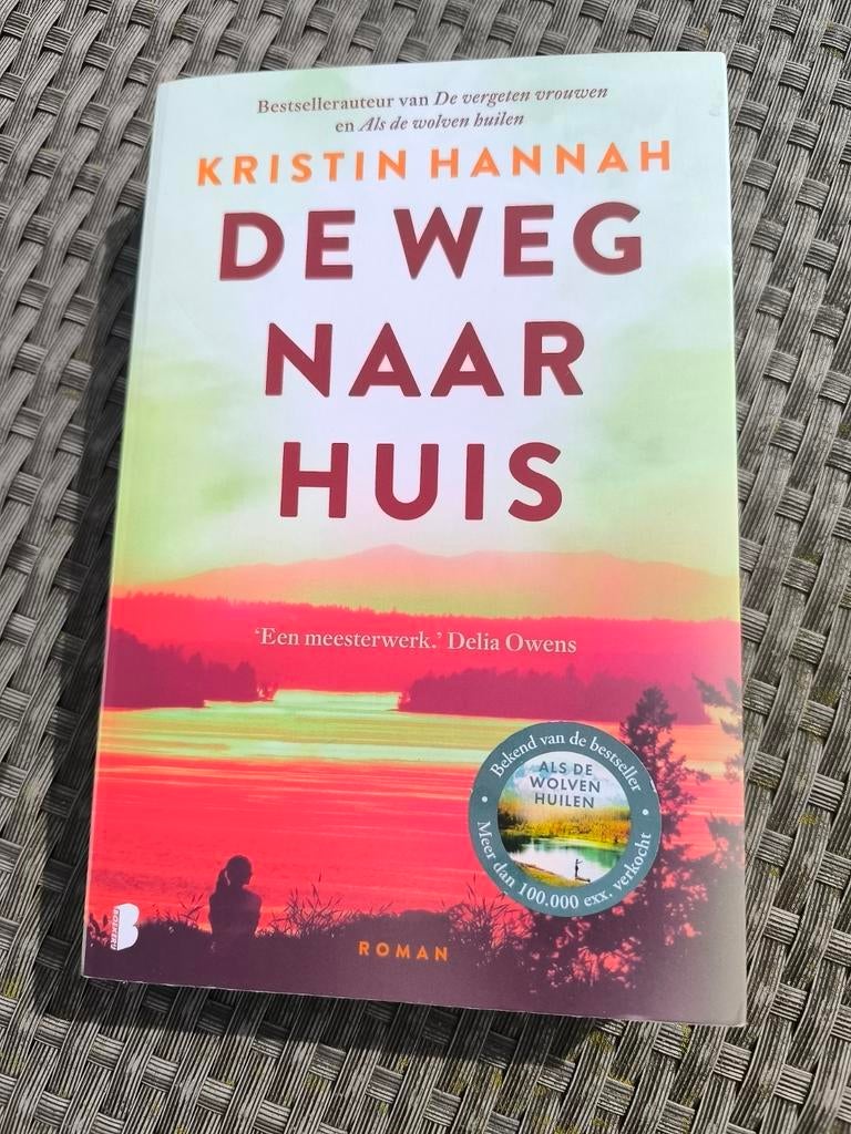Kristin Hannah - De weg naar huis, Boeken, Ophalen, Kristin Hannah