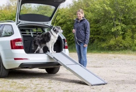 telescoop loopplank hond, Ophalen, Nieuw