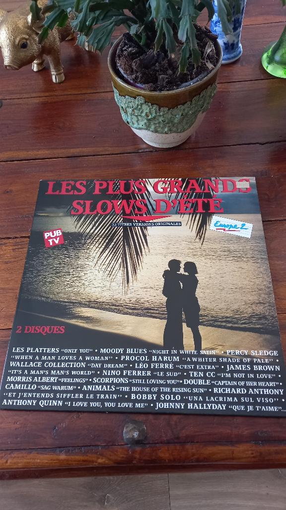 Vinyl 33t (2vinyles),gainsbourg, moody blues,scorpions, Enlèvement, Comme neuf