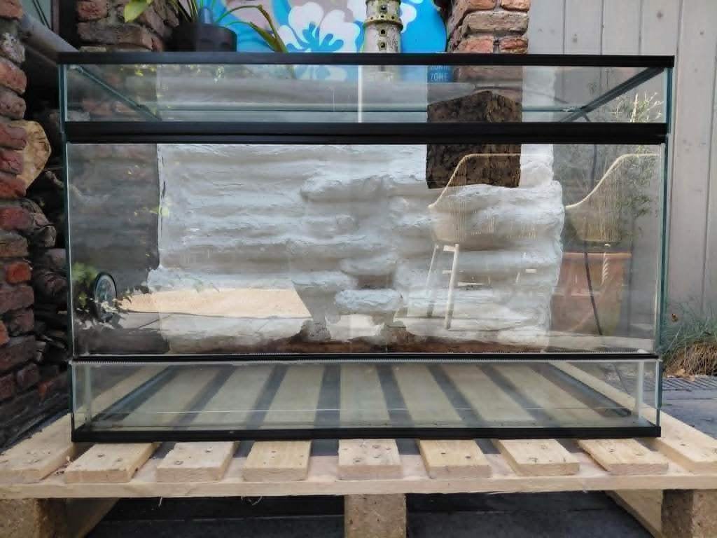 terrarium te koop, Ophalen, Gebruikt, Terrarium of Paludarium
