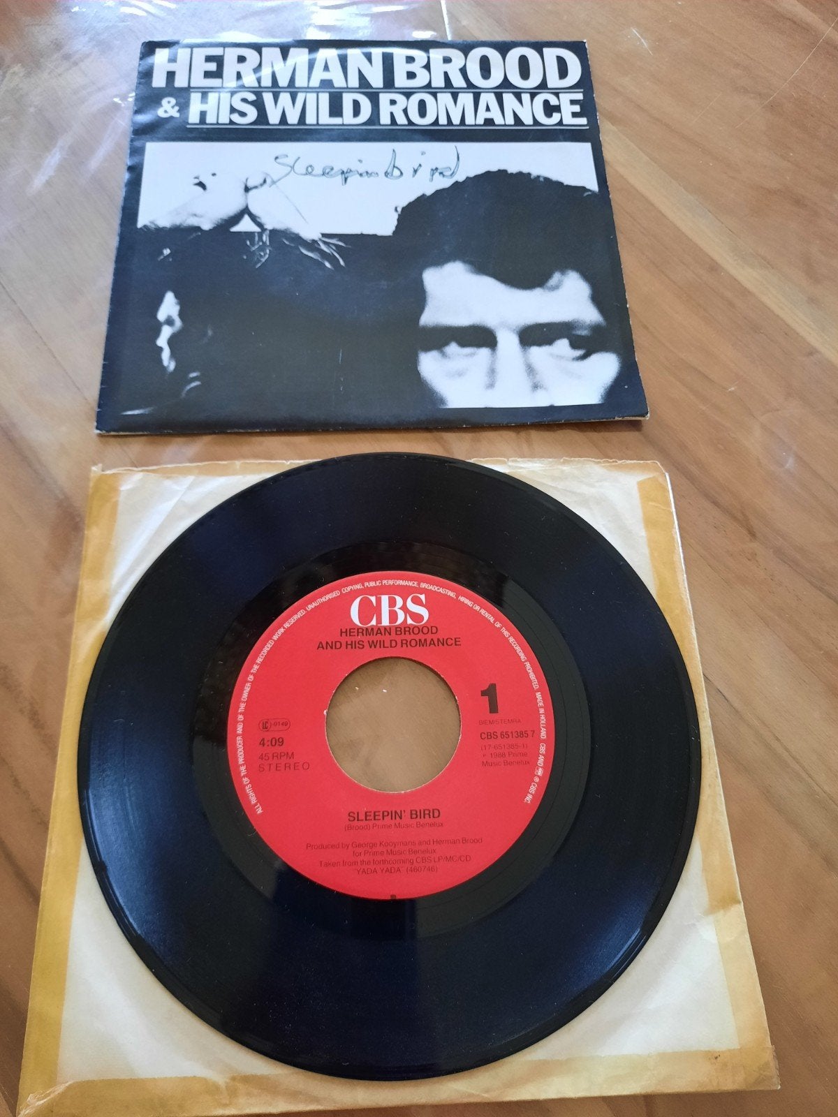 Herman Brood & his wild romance.Sleeping bird-Cut me loose, Ophalen of Verzenden