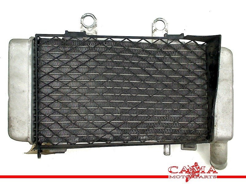 RADIATEUR LINKS Honda VFR 800 Fi 1998-2001 (VFR800Fi RC46), Motoren, Dhr. S. di Majo, Gebruikt, Info@cama-motorparts.nl, P.J. Troelstraweg 8 8
3144 CX  MAASSLUIS, NL