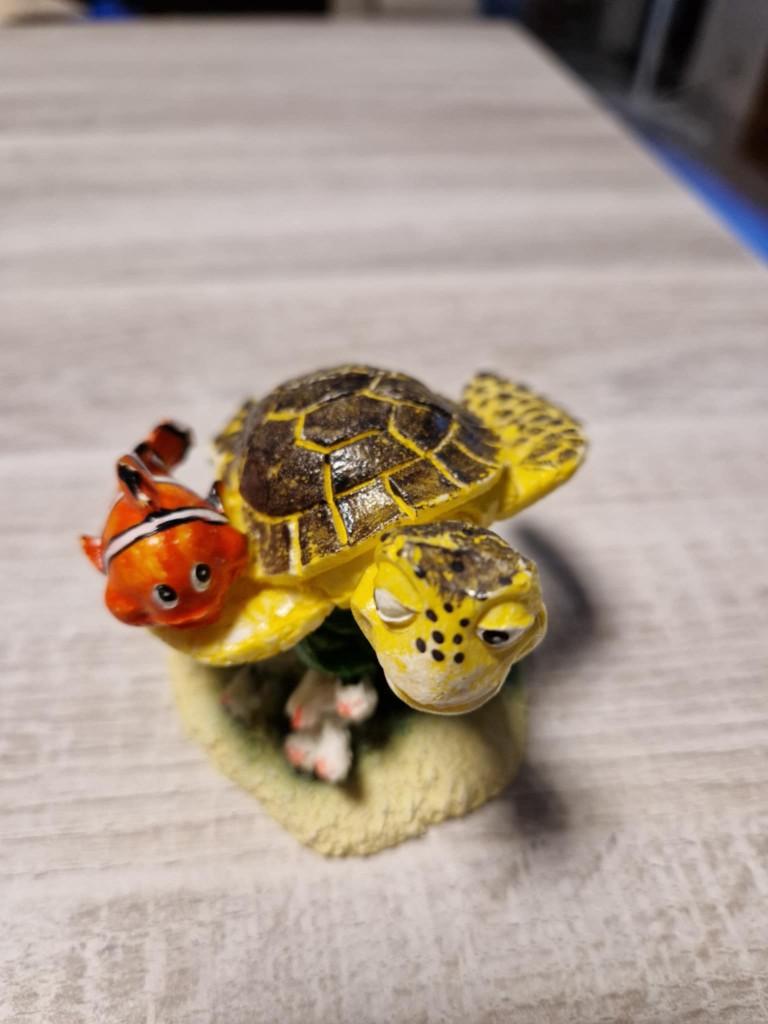 nemo met schildpad, Dieren en Toebehoren, Ophalen