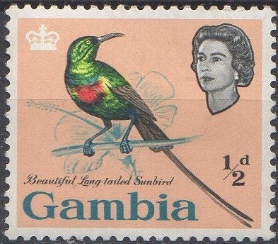 Gambia - Feeënhoningzuiger - 1963, Timbres & Monnaies, Timbres | Afrique, Enlèvement ou Envoi, Non oblitéré