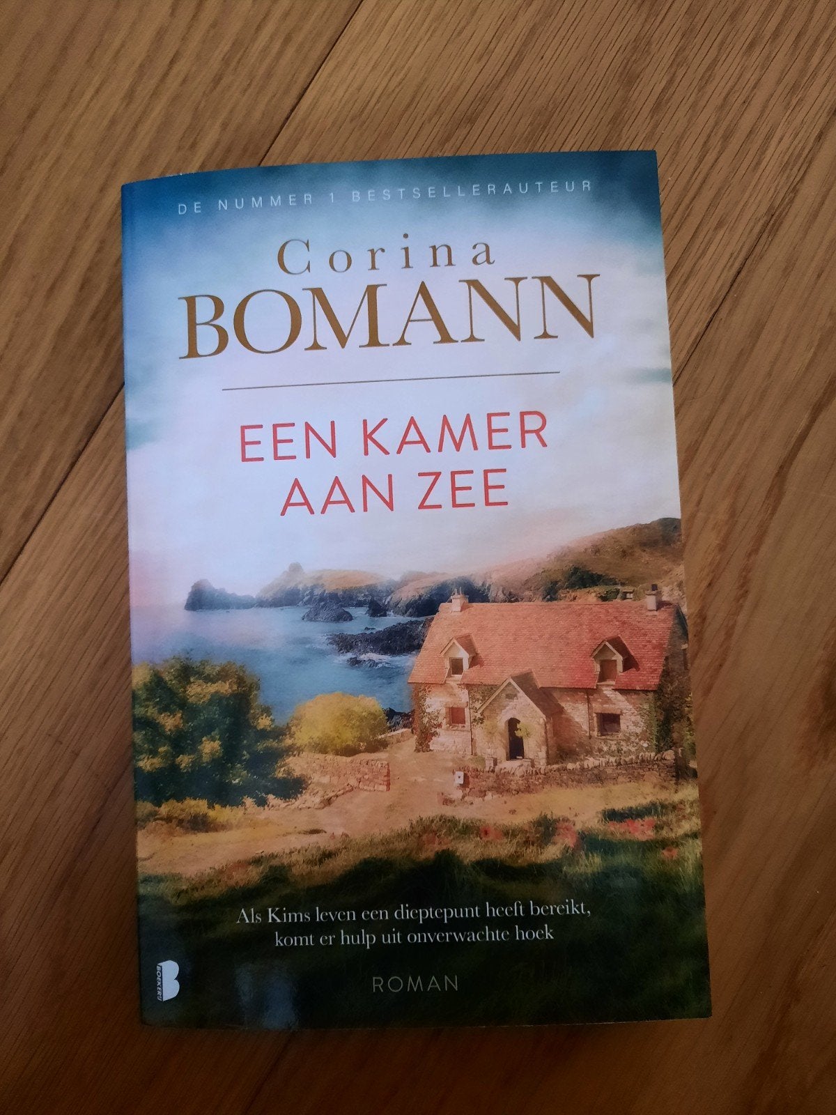Roman Corina Bomann. Een kamer aan zee., Enlèvement