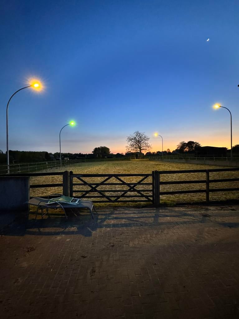Verlichting, Dieren en Toebehoren, Accessoires